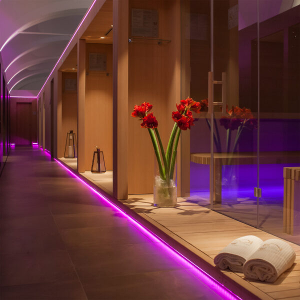 ROI SPA for two hours + lunch