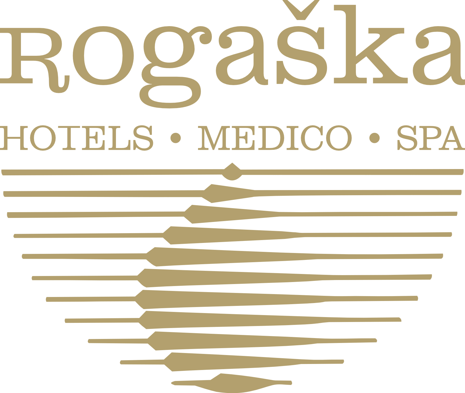 Hotel Sava Rogaska – IT