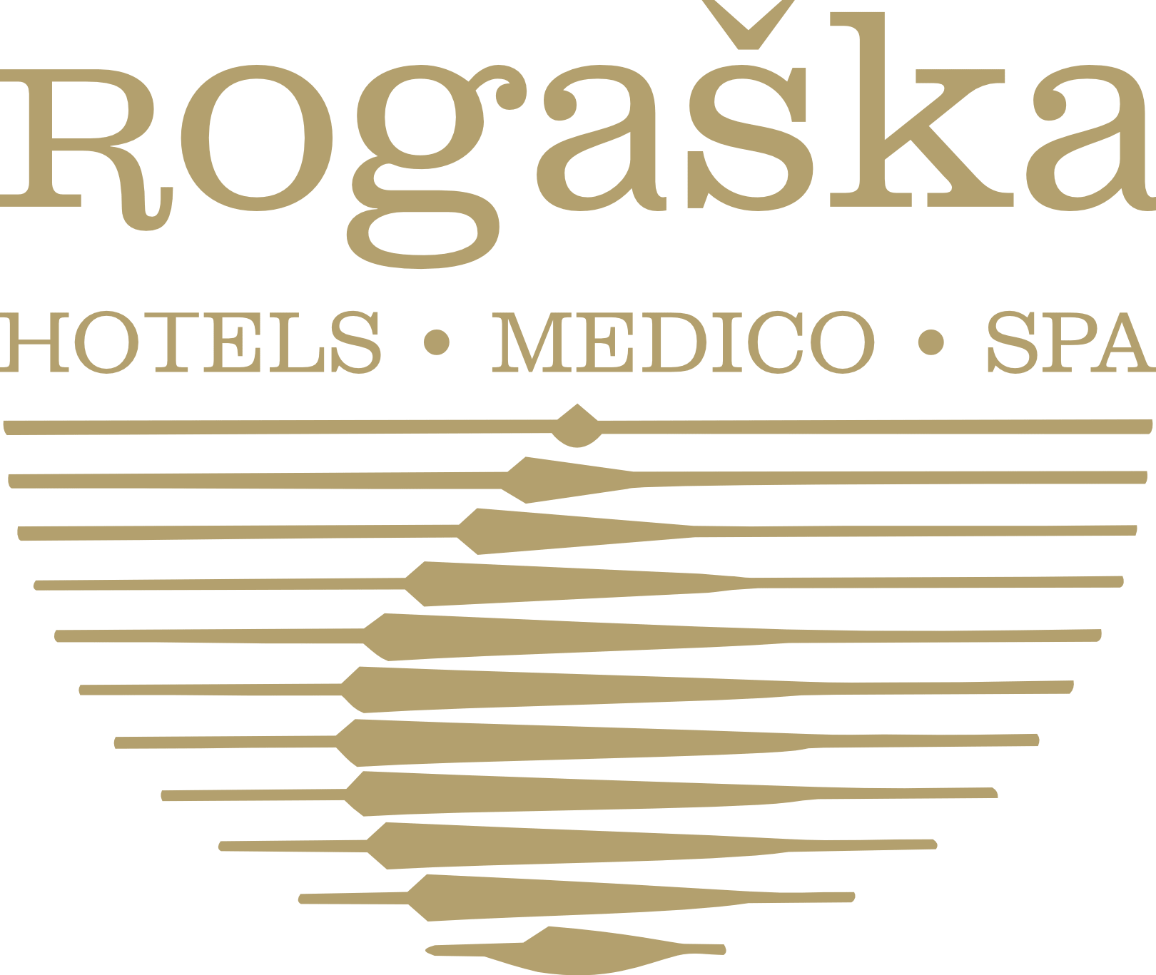 Hotel Sava Rogaška